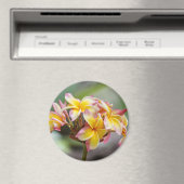 Hawaii Gelbe Rosa Plumeria Blume Magnet (In Situ (Geschirrspüler))