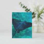 Hawaii Gepunktet Eagle Ray Postkarte (Stehend Vorderseite)