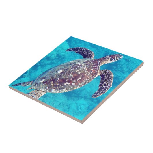Hawaii Green Sea Turtle Fliese (Seite)