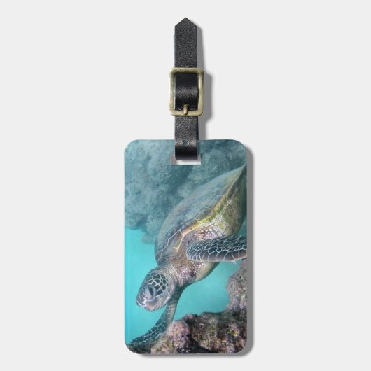 Hawaii Green Sea Turtle Gepäckanhänger (Vorderseite vertikal)