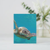 Hawaii Green Sea Turtle - Honu Postkarte (Stehend Vorderseite)