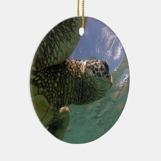 Hawaii Green Sea Turtle Keramik Ornament (Rechts)