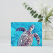 Hawaii Green Sea Turtle Postkarte (Stehend Vorderseite)