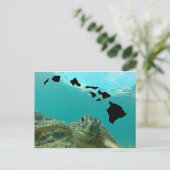 Hawaii Green Sea Turtle Postkarte (Stehend Vorderseite)