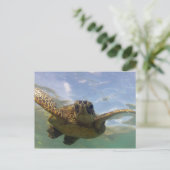 Hawaii Green Sea Turtle Postkarte (Stehend Vorderseite)
