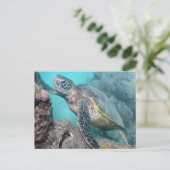 Hawaii Green Sea Turtle Postkarte (Stehend Vorderseite)