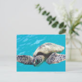 Hawaii Green Sea Turtle Postkarte (Stehend Vorderseite)