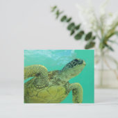 Hawaii Green Sea Turtle Postkarte (Stehend Vorderseite)