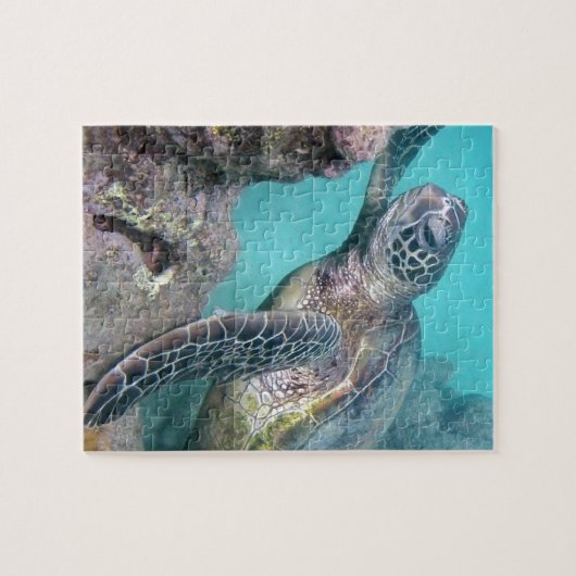 Hawaii Green Sea Turtle Puzzle (Horizontal)