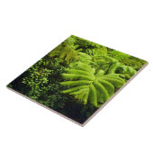 Hawaii, Große Insel, üppige tropische Vegetation i Fliese (Seite)