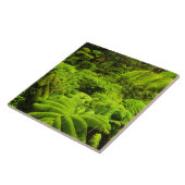 Hawaii, Große Insel, üppige tropische Vegetation i Fliese (Seite)