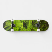 Hawaii, Große Insel, üppige tropische Vegetation i Skateboard (Horizontal)
