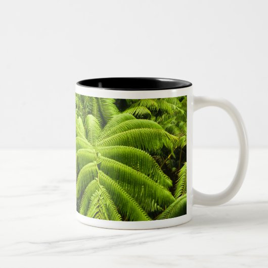 Hawaii, Große Insel, üppige tropische Vegetation i Zweifarbige Tasse (Rechts)