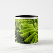 Hawaii, Große Insel, üppige tropische Vegetation i Zweifarbige Tasse (Mittel)