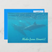 Hawaii grüßen unter Wasser Delphin landschaftliche Postkarte (Vorne/Hinten)