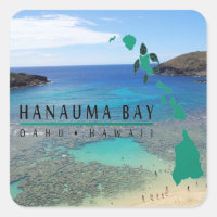 Hawaii Hanauma Bay Oahu Turtle