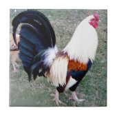 Hawaii Hanauma Bay Rooster Fliese (Vorderseite)