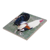 Hawaii Hanauma Bay Rooster Fliese (Seite)