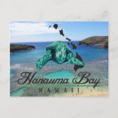 Hawaii Hanauma Bay Turtle - Honu Postkarte (Vorderseite)