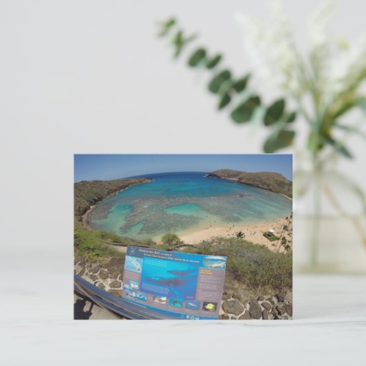 Hawaii Hanauma Bay Vulkan Postkarte (Stehend Vorderseite)