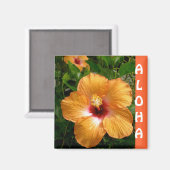 Hawaii Hibiskus Aloha Magnet (Vorderseite/Rückseite)