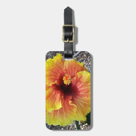 Hawaii Hibiskus Blume Gepäckanhänger (Vorderseite vertikal)