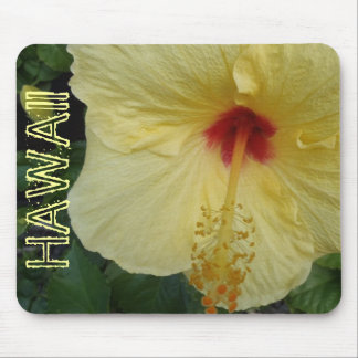 Hawaii Hibiskus Blume mousepad