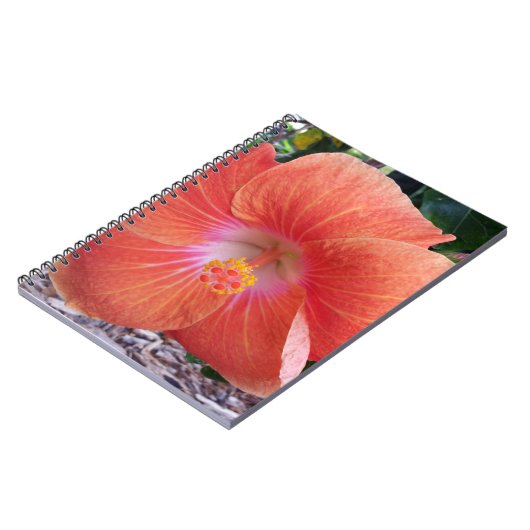 Hawaii Hibiskus Blume Notizblock (Linke Seite)