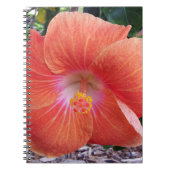 Hawaii Hibiskus Blume Notizblock (Vorderseite)