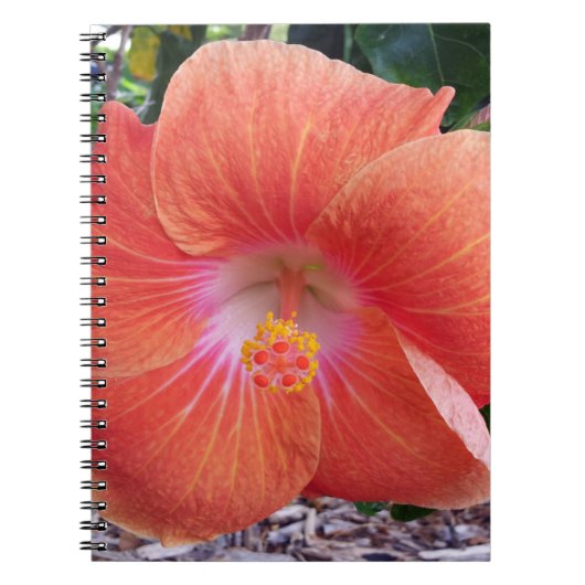 Hawaii Hibiskus Blume Notizblock (Vorderseite)