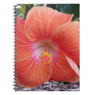 Hawaii-Hibiskus-Blumen Notizblock