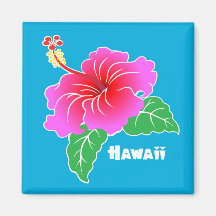 Hawaii-Hibiskus
