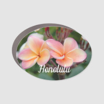 Hawaii Honolulu-Oldtimer-Magnet