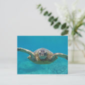 Hawaii Honu Postkarte (Stehend Vorderseite)