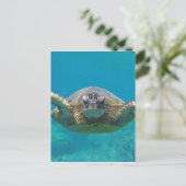 Hawaii Honu Postkarte (Stehend Vorderseite)