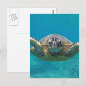 Hawaii Honu Postkarte (Vorne/Hinten)