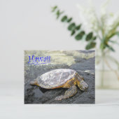 Hawaii - Honu Postkarte (Stehend Vorderseite)