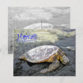 Hawaii - Honu Postkarte (Vorne/Hinten)