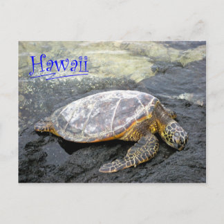 Hawaii - Honu Postkarte