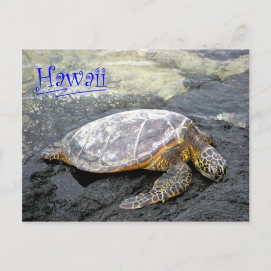 Hawaii - Honu Postkarte (Vorderseite)