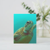 Hawaii Honu Postkarte (Stehend Vorderseite)
