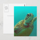 Hawaii Honu Postkarte (Vorne/Hinten)