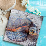 Hawaii Honu Sea Turtle Foto Stilvoll farbenfroh Puzzle<br><div class="desc">Meeresschildkröten wissen sicherlich, wie man in der Sonne entspannt. Lassen Sie sich von den warmen Brisen der Hawaiianischen Inseln abhalten, wenn Sie Zeit mit der Arbeit an diesem wunderschönen, atemberaubenden, farbenfrohen Puzzle der Honu-Meeresschildkröte mit nahem Foto verbringen. Ein tolles Geschenk für jemanden, der etwas Besonderes ist! Kommt in eine besondere...</div>