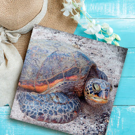 Hawaii Honu Sea Turtle Foto Stilvoll farbenfroh Puzzle