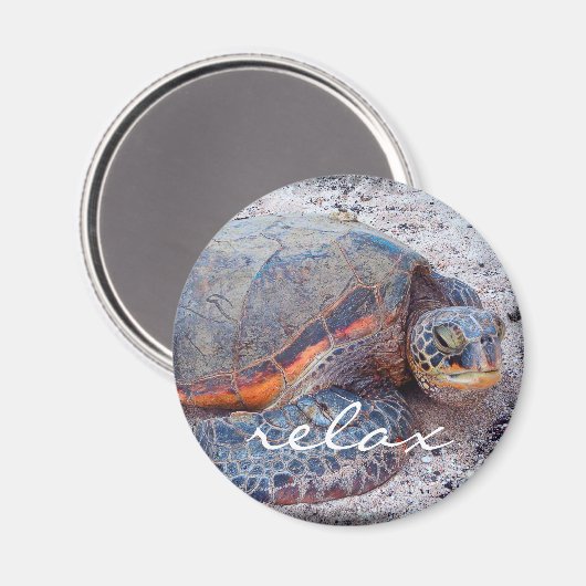 Hawaii honu tropische Meeresschildkröte Foto Relax Magnet (Vorderseite/Rückseite)
