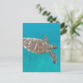 Hawaii Honu Turtle Postkarte (Stehend Vorderseite)
