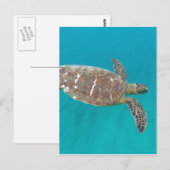 Hawaii Honu Turtle Postkarte (Vorne/Hinten)