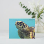 Hawaii Honu Turtle Postkarte (Stehend Vorderseite)