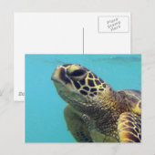 Hawaii Honu Turtle Postkarte (Vorne/Hinten)