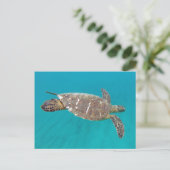 Hawaii Honu Turtle Postkarte (Stehend Vorderseite)
